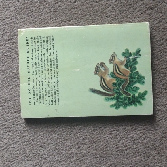 Vintage 1955 Mammals Guide book - Picture 3 of 7